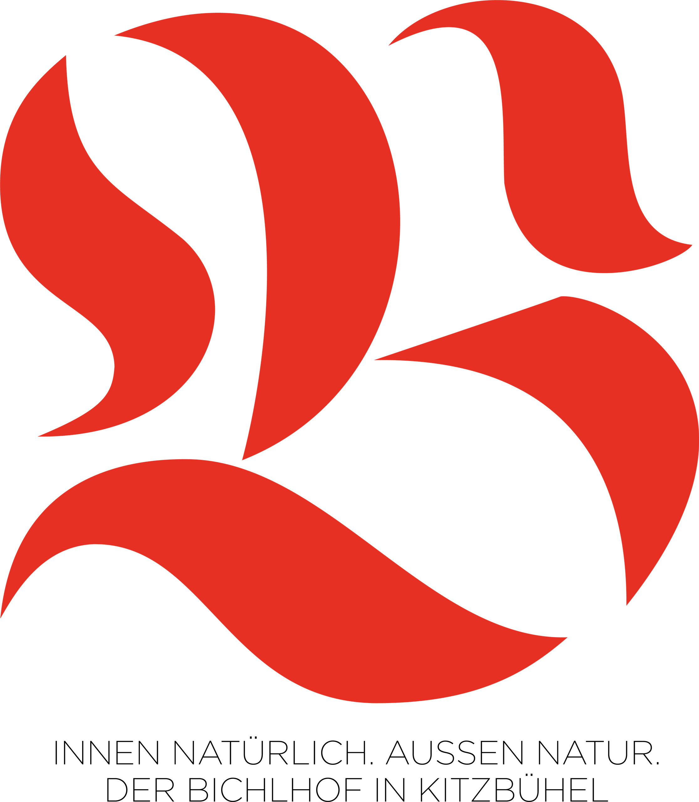 B NEU_Slogan_Bichlhofai