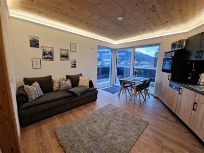 Apartment, shower, toilet, 1 bed room