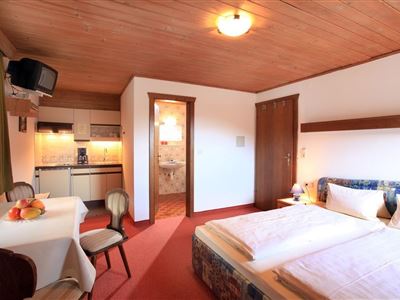 Apartment/Wohn-Schlafraum/Bad, WC