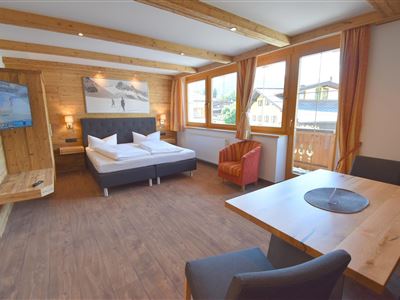 ap./combined living-bed-room/shower, WC