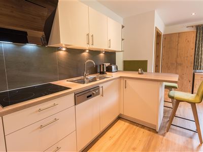 Apartment nr7 with combined living-sleeping room, shower, toilet,  