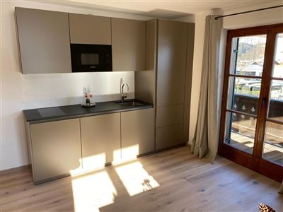 Apartment, shower, toilet, 1 bed room