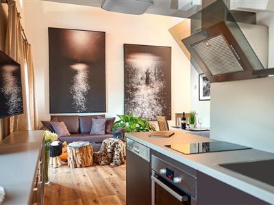 Apartment, shower, toilet, 1 bed room