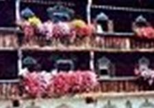 Ein traditionelles Holzhaus mit bunten Blumenkästen an den Balkonen. Die Umgebung ist ländlich und malerisch.