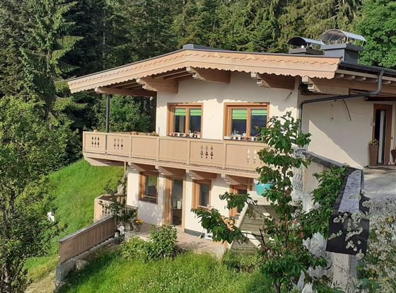 Ein charmantes Chalet umgeben von Bäumen und Wiese. Die große Terrasse bietet einen schönen Ausblick in die Natur.