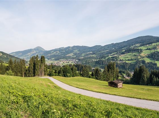 Anfahrt auf den Berg