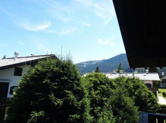 Ausblick
