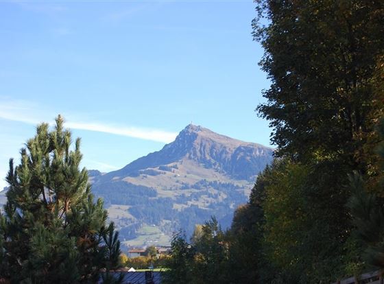 Ausblick auf Kitzbüheler Horn im Sommer