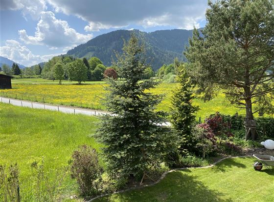 Ausblick - Gartenblick -GB