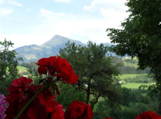Aussicht Balkon
