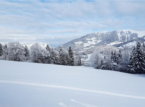 Eine winterliche Landschaft mit schneebedeckten Feldern und Tannenbäumen. Im Hintergrund sind bewaldete Berge und ein wolkenverhangener Himmel zu sehen.