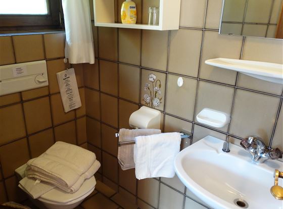 Ein kleines Badezimmer mit braunen Fliesen. Es sind Handtücher, ein Waschbecken und ein Toilettenbereich sichtbar.