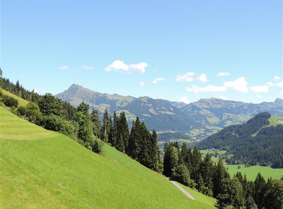 Blick nach Osten
