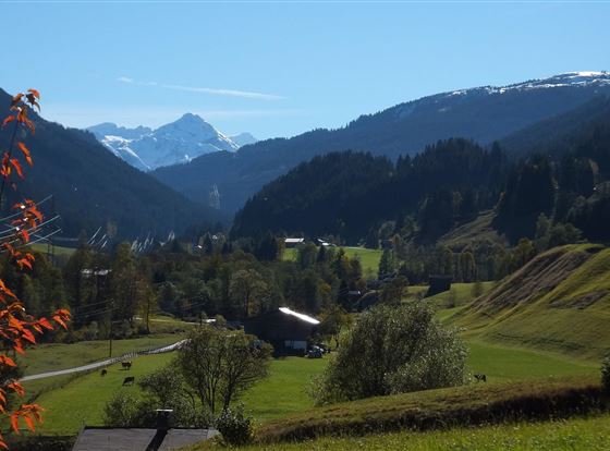 Blick_von_Terrasse[1] - web