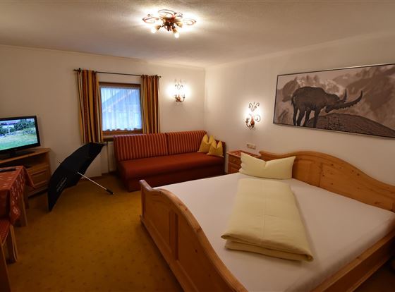 Doppelzimmer - Einzelnutzung