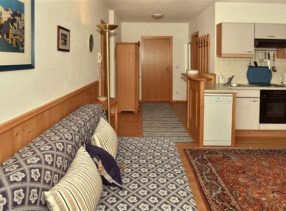 Ein gemütlicher Wohnraum mit einer Couch und einer modernen Küche. Die Wände sind hell gestrichen und Holzverkleidungen verleihen dem Raum Wärme.