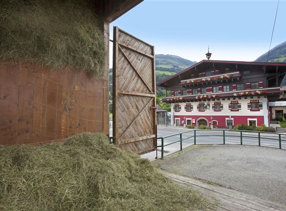 Hausfoto Landwirtschaft