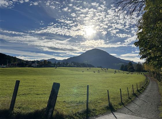 Spazierweg an der Aach 5 min vom Haus