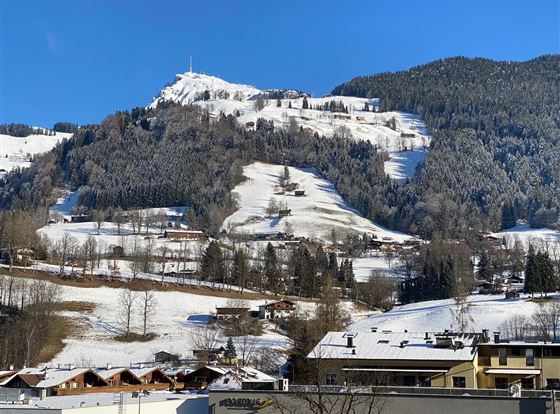 Eine verschneite Berglandschaft mit grünen Bäumen und traditionellen Chalets im Vordergrund. Der Himmel ist klar und blau, während die Bergspitze in der Sonne glänzt.