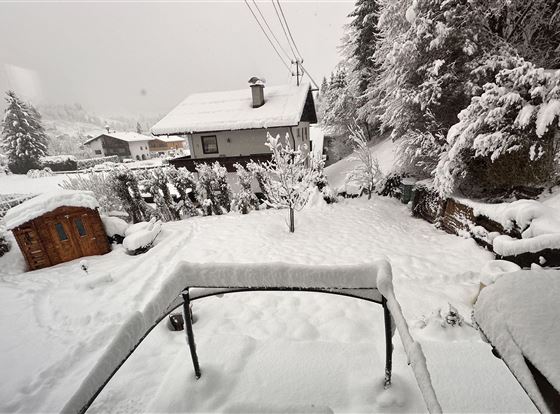Eine verschneite Landschaft mit einem Garten und weißen, schneebedeckten Bäumen. Im Hintergrund sind einige Häuser sichtbar, während der Himmel grau und bewölkt ist.