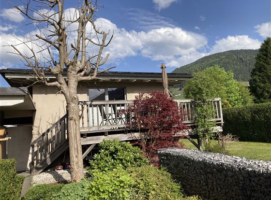 Sommer - Ferienhaus