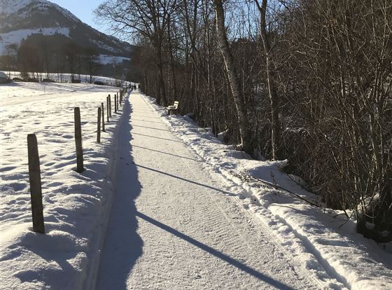 Loipe zu Fuß 5 min vom Haus
