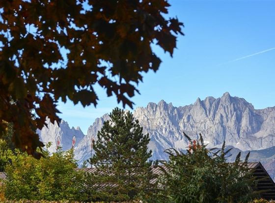 Kaiserblick