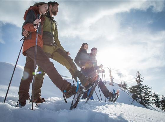 Eine Gruppe von vier Personen wandert durch den Schnee. Der Himmel ist klar und die Sonne scheint.