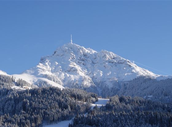 Ein schneebedeckter Berg unter einem klaren blauen Himmel. Im Vordergrund sind bewaldete Hänge zu sehen.
