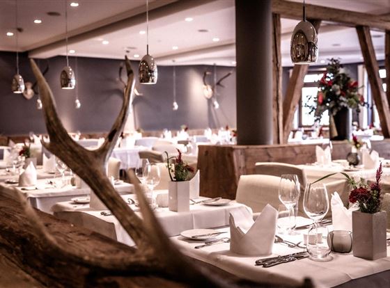 Ein elegantes Restaurant mit gedeckten Tischen und modernen Lichtinstallationen. Die Atmosphäre ist gemütlich und einladend.