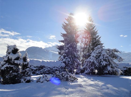 Landhaus_Feller_Reith_Kitzbühel_Aussicht