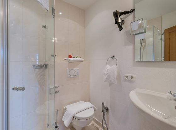 Ein modernes Badezimmer mit einer Duschkabine und einem Waschbecken. Handtücher und eine Blumendekoration sorgen für eine einladende Atmosphäre.