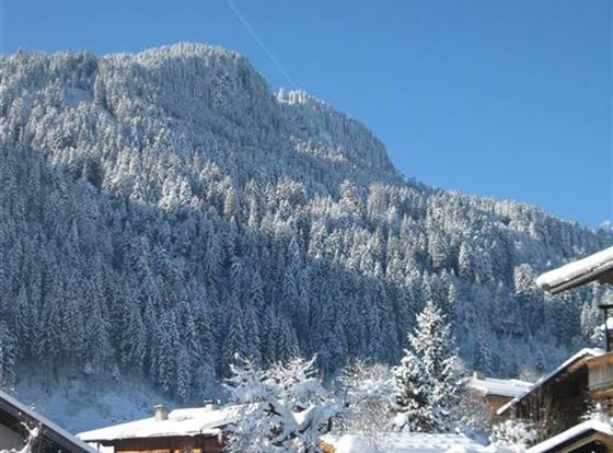 Eine winterliche Landschaft mit schneebedeckten Bergen und Tannenbäumen. Schöne Holzhäuser sind im Vordergrund zu sehen.