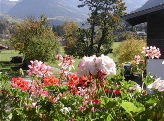 Bunte Blumen in einem Garten mit Blick auf Berge und grüne Wiesen. Ein klarer blauer Himmel vervollständigt die idyllische Landschaft.