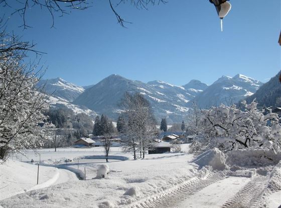 Eine verschneite Winterlandschaft mit Bergen im Hintergrund. Der Himmel ist klar und blau, während die Bäume mit Schnee bedeckt sind.