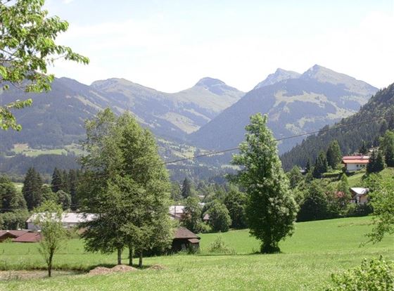 Eine malerische Landschaft mit grünen Wiesen und Bergen im Hintergrund. Bäume und kleine Häuser vervollständigen die idyllische Umgebung.