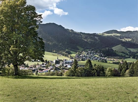 Eine malerische Landschaft mit einem Dorf, umgeben von grünen Wiesen und Bergen. Ein großer Baum steht im Vordergrund, unter einem klaren Himmel.