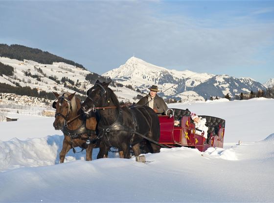 Pferdeschlittenfahrt_StefanEisend_TVB_Brixental_DS