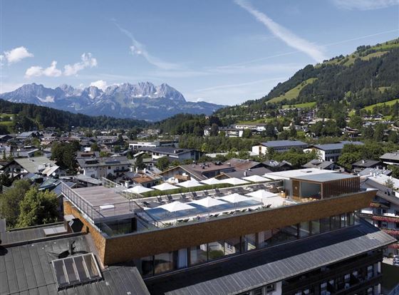 Schwarzer Adler Dachpool 