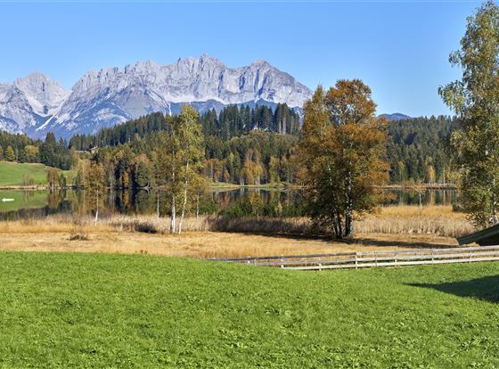 Eine ruhige Landschaft mit grünen Wiesen und bunten Herbstbäumen. Im Hintergrund sind majestätische Berge und ein klarer blauer Himmel zu sehen.