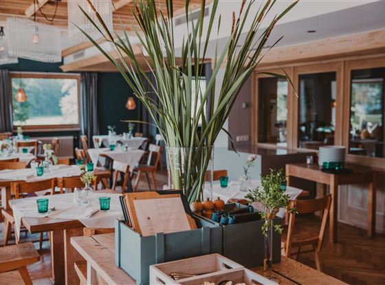 Ein einladendes Restaurant mit hellen Holzmöbeln und elegantem Tischgedeck. Große Pflanzen schmücken den Tisch und der Raum wird von natürlichem Licht durchflutet.
