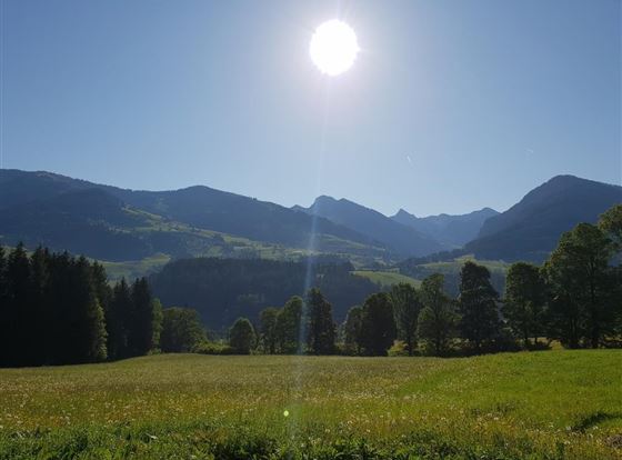 Eine weitläufige grüne Wiese umgeben von Bergen unter einem strahlend blauen Himmel. Die Sonne scheint hell und sorgt für eine schöne, friedliche Atmosphäre.