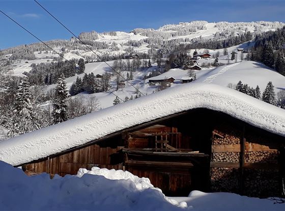 Tenn mit Blick Schigebiet Kirchberg