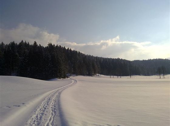 Umgebung