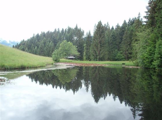 unser herrlicher Teich