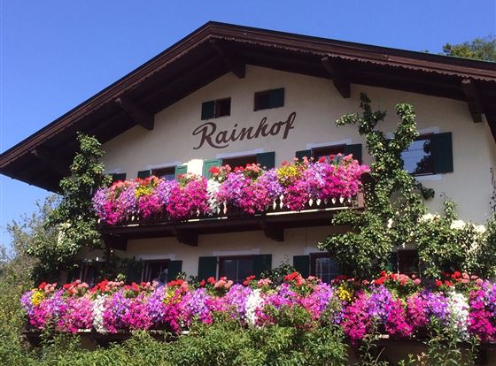 Unsere Blumenpracht