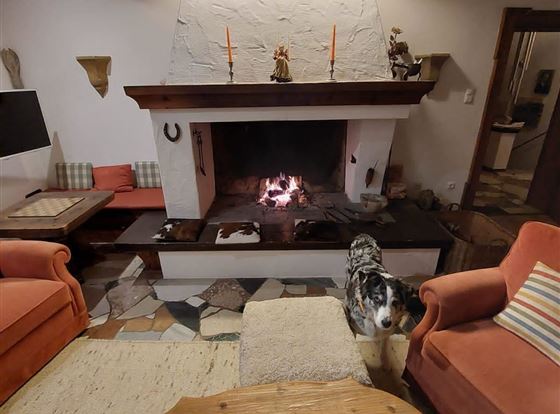 Ein gemütliches Wohnzimmer mit einem offenen Kamin und bequemen Sofas. Ein Hund steht in der Mitte des Raumes und der Boden ist mit einem Teppich bedeckt.