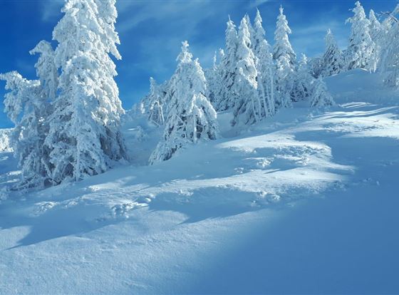 Winter