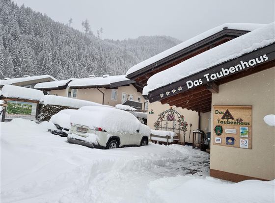 Winter Front 20220201_081728