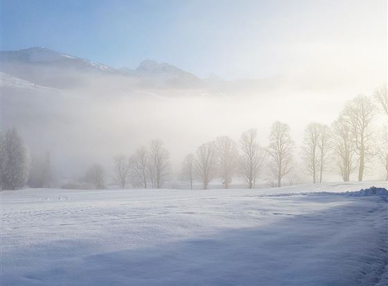 Eine verschneite Landschaft mit Bäumen und einem klaren blauen Himmel. Der Nebel verleiht der Szenerie eine mystische Atmosphäre.